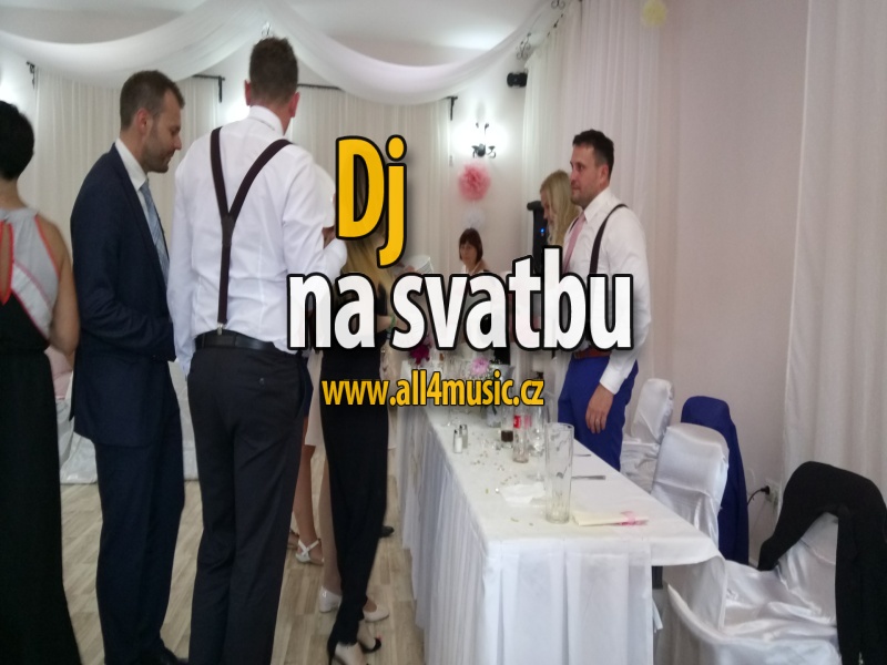 Dj na svatbu Pardubice a Seč